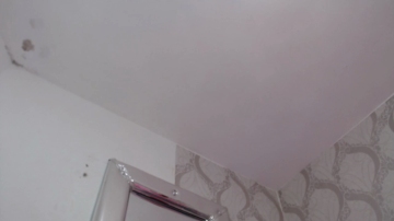 Sofia_Gold_  24-08-2021
